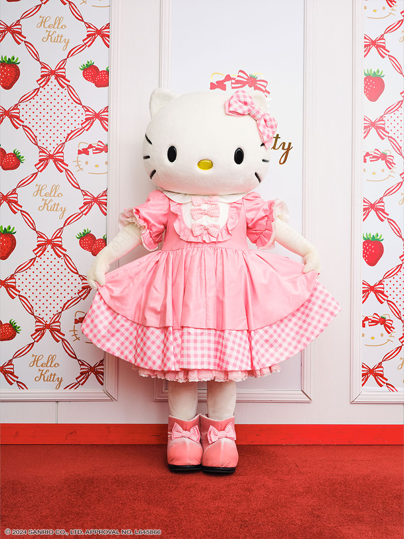 Hello Kitty 50th Anniversary