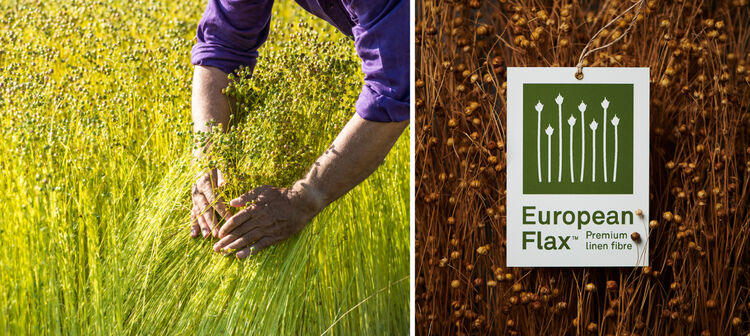 European Flax™