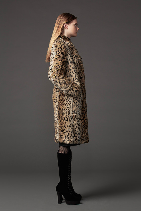 model_img