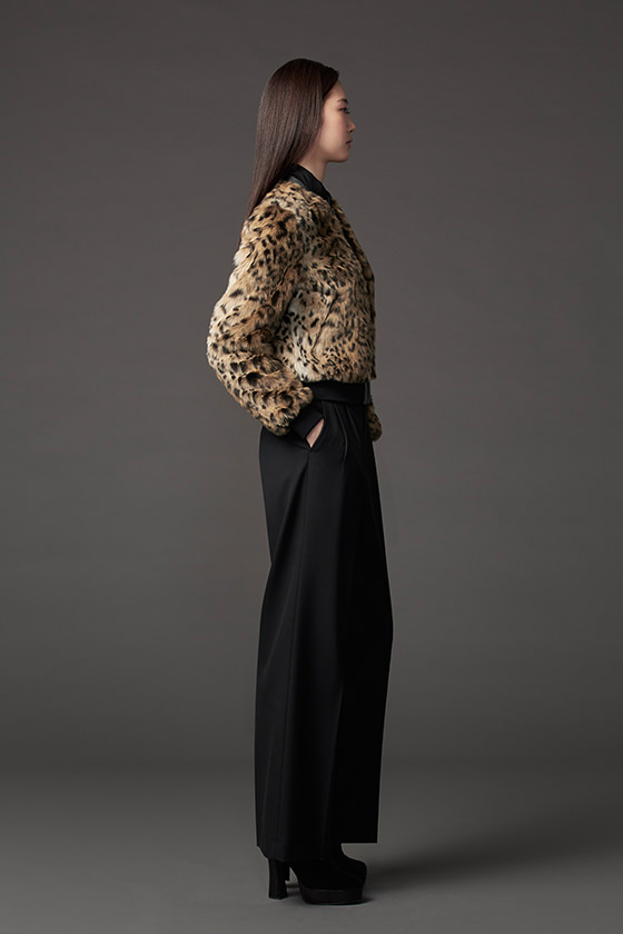 model_img