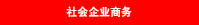社会企业商务