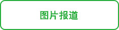 图片报道