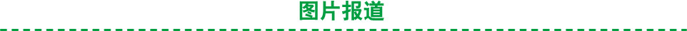 图片报道