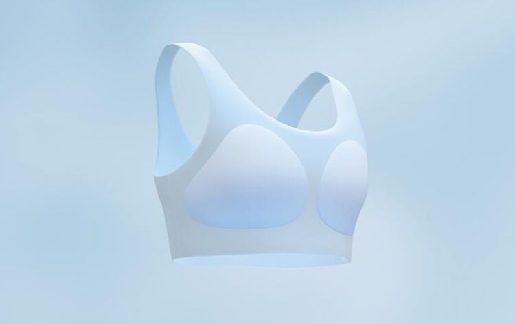 bra