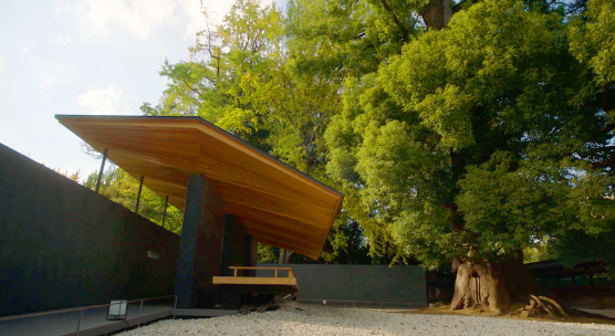 UENO TOSHO-GU SHRINE