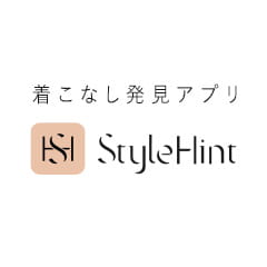 StyleHint