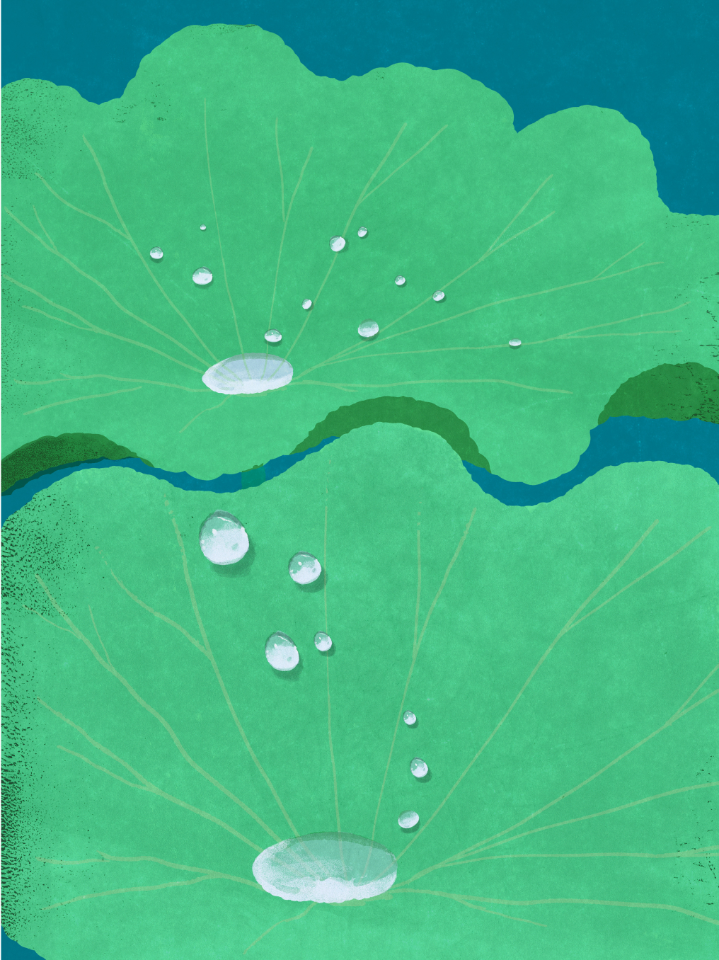 LifeWear that repels rain and keeps you comfortable, using safe materials.