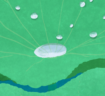 Looking to lotus leaves for design inspiration