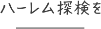 ハーレム探検を