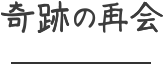 奇跡の再会