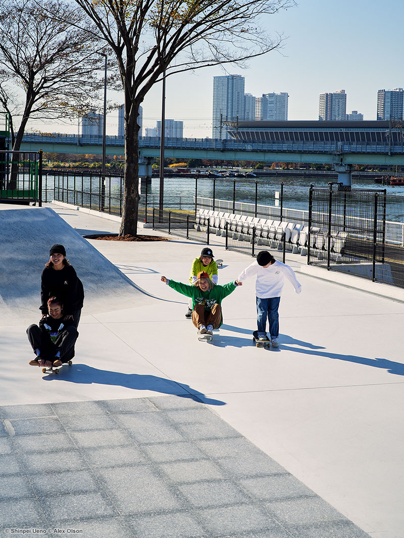 SKATER COLLECTION
